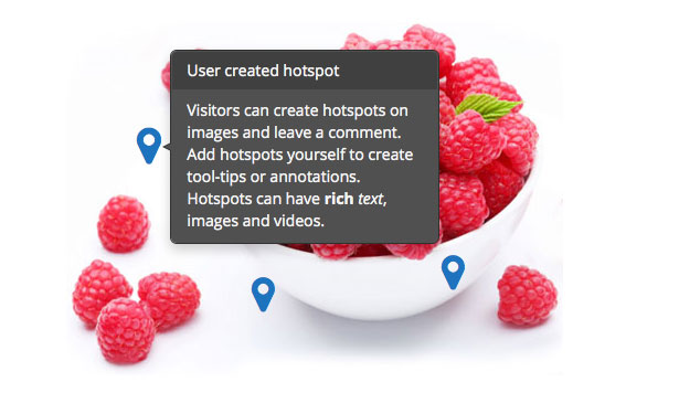 Hotspots with Comments – WordPress plugin - 2